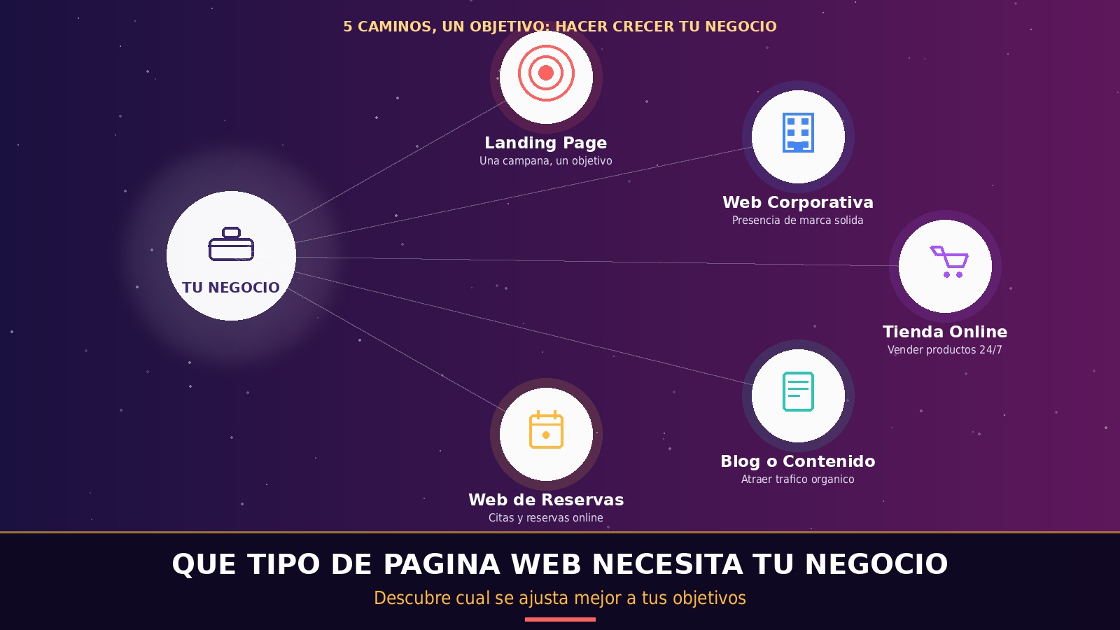 tipo_web_negocio tipo_web_negocio